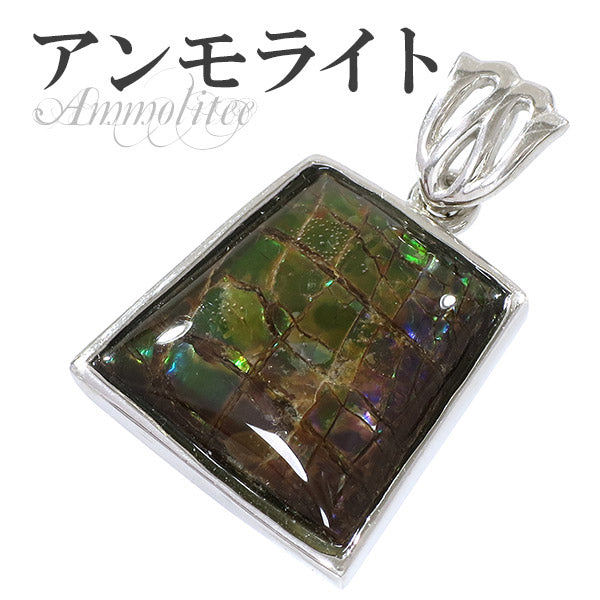 商品番号 amm-t46 のアクセサリー
