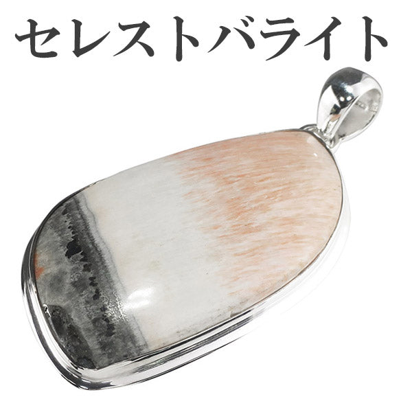 商品番号 ceb-t03 のアクセサリー