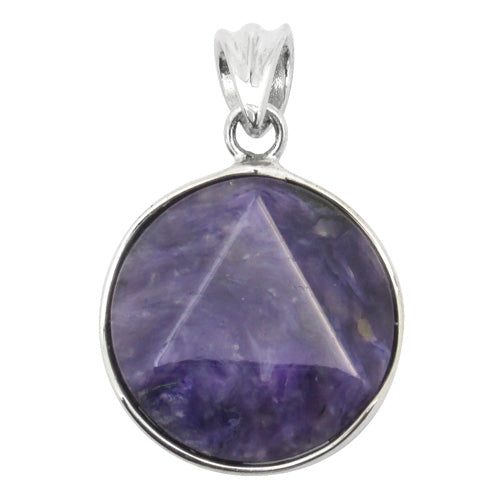 商品番号 ch-t100 のアクセサリー