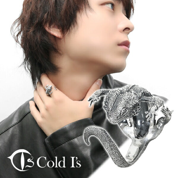 商品番号 cis-02-008 のアクセサリー