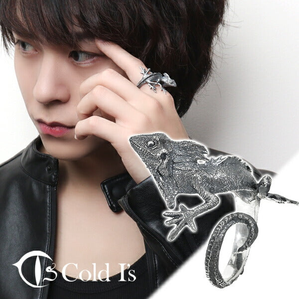 商品番号 cis-02-009 のアクセサリー