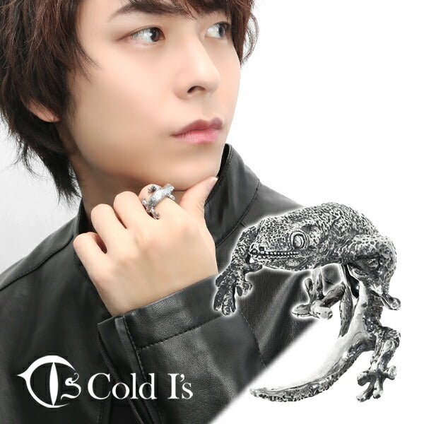 商品番号 cis-02-013 のアクセサリー