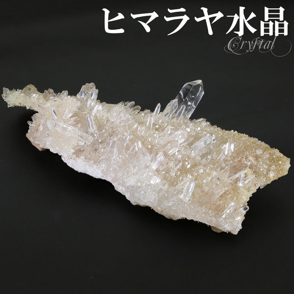 商品番号 cr-1154 のアクセサリー