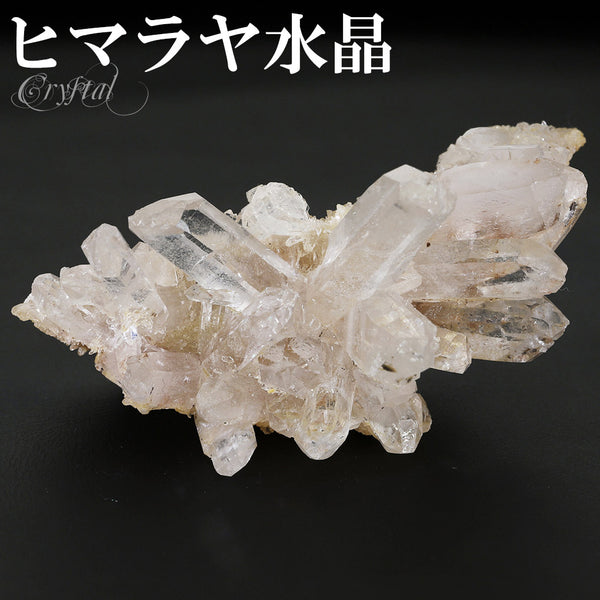 商品番号 cr-1155 のアクセサリー