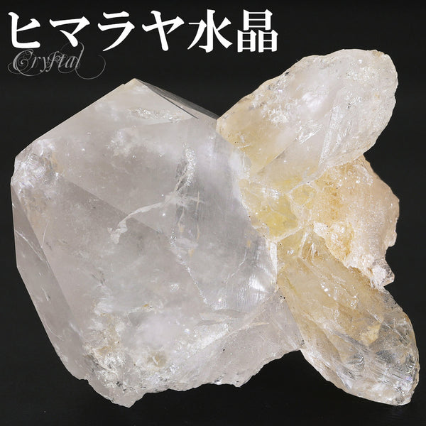 商品番号 cr-1157 のアクセサリー