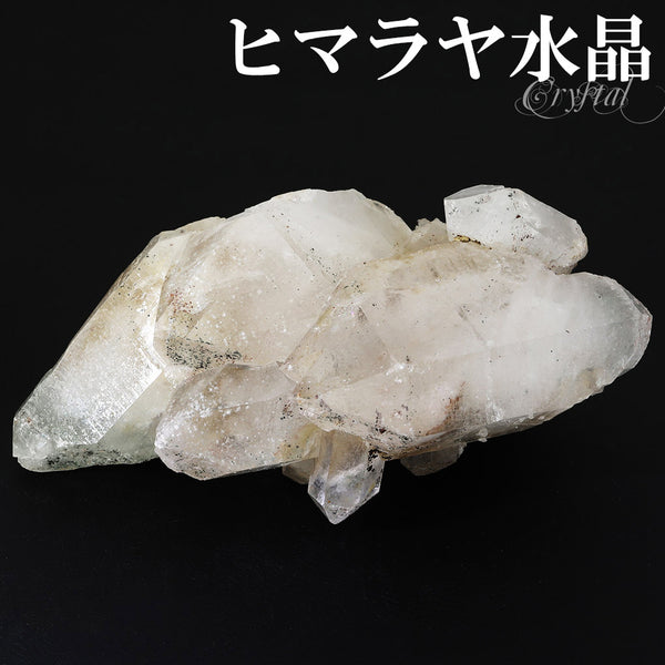 商品番号 cr-1159 のアクセサリー