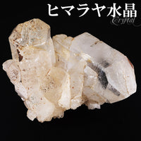 商品番号 cr-1163 のアクセサリー