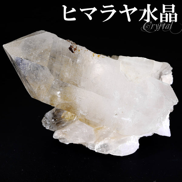 商品番号 cr-1165 のアクセサリー