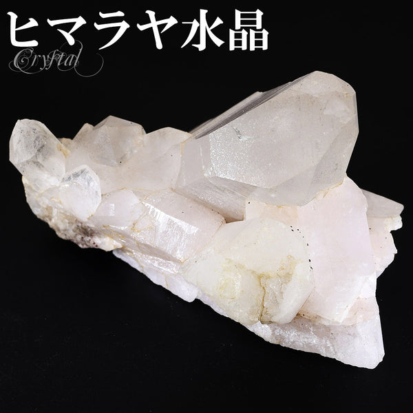 商品番号 cr-1166 のアクセサリー