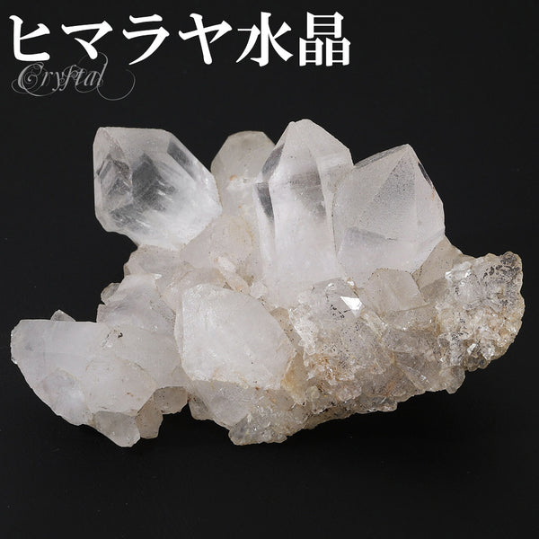 商品番号 cr-1169 のアクセサリー