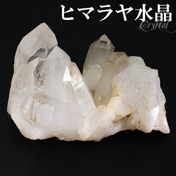 商品番号 cr-1172 のアクセサリー