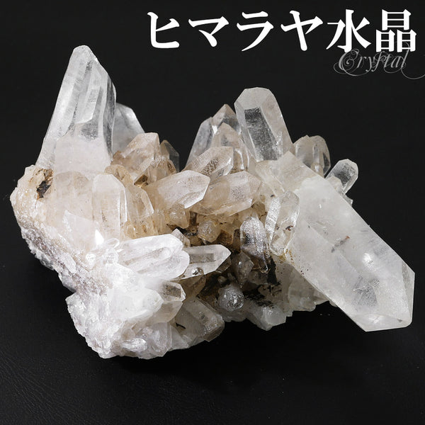 商品番号 cr-1174 のアクセサリー