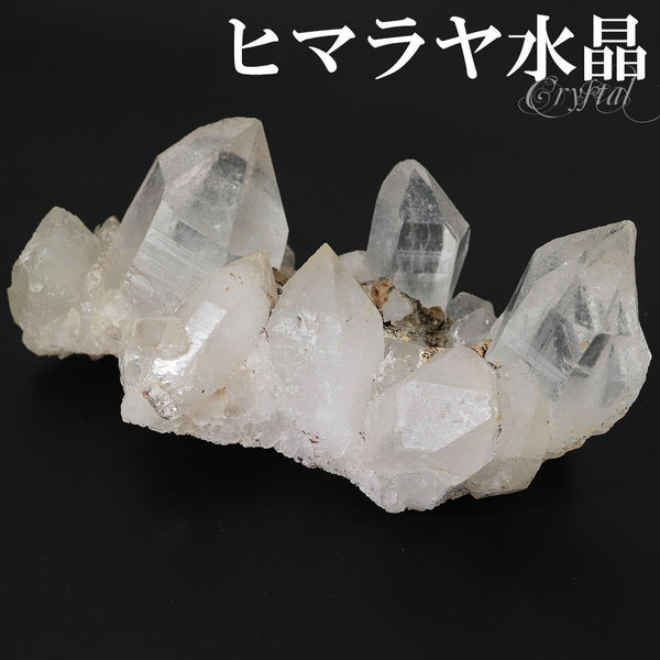 商品番号 cr-1176 のアクセサリー