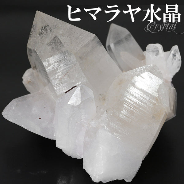 商品番号 cr-1177 のアクセサリー