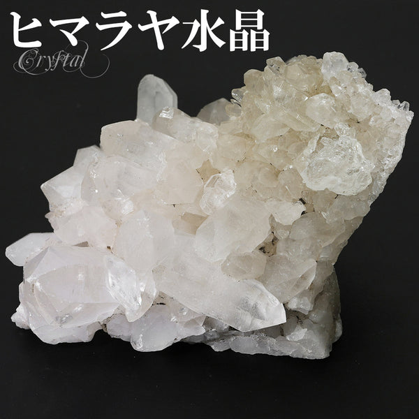 商品番号 cr-1179 のアクセサリー