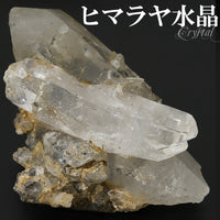 商品番号 cr-1181 のアクセサリー