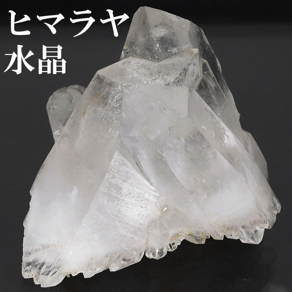 商品番号 cr-1189 のアクセサリー