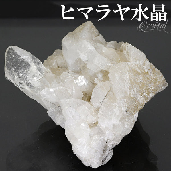商品番号 cr-1190 のアクセサリー