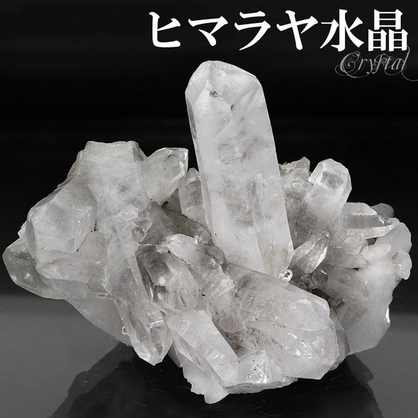 商品番号 cr-1191 のアクセサリー