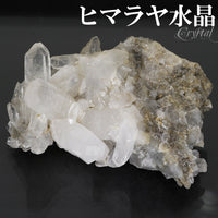商品番号 cr-1195 のアクセサリー