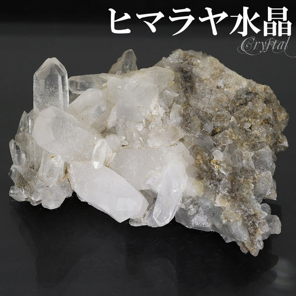 商品番号 cr-1195 のアクセサリー