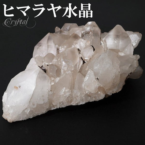 商品番号 cr-1196 のアクセサリー