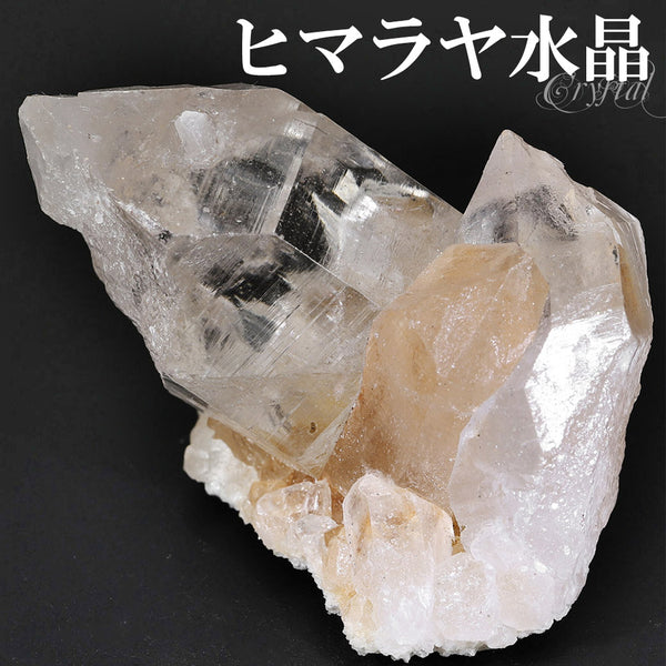 商品番号 cr-1197 のアクセサリー