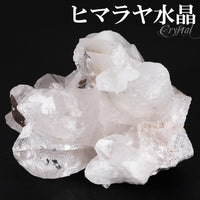 商品番号 cr-1199 のアクセサリー