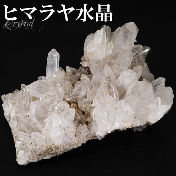 商品番号 cr-1201 のアクセサリー