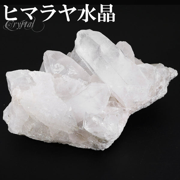 商品番号 cr-1202 のアクセサリー