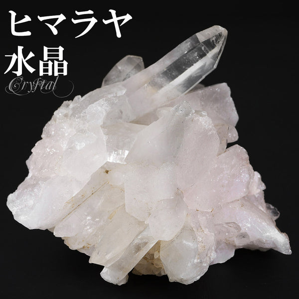 商品番号 cr-1204 のアクセサリー