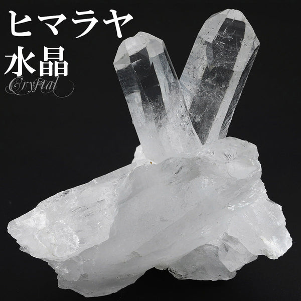 商品番号 cr-1208 のアクセサリー