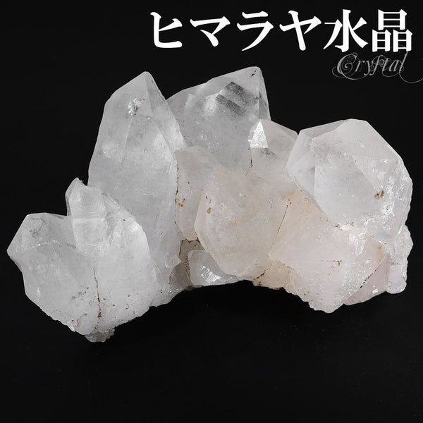 商品番号 cr-1209 のアクセサリー