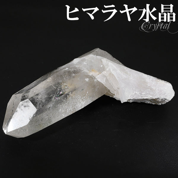 商品番号 cr-1216 のアクセサリー