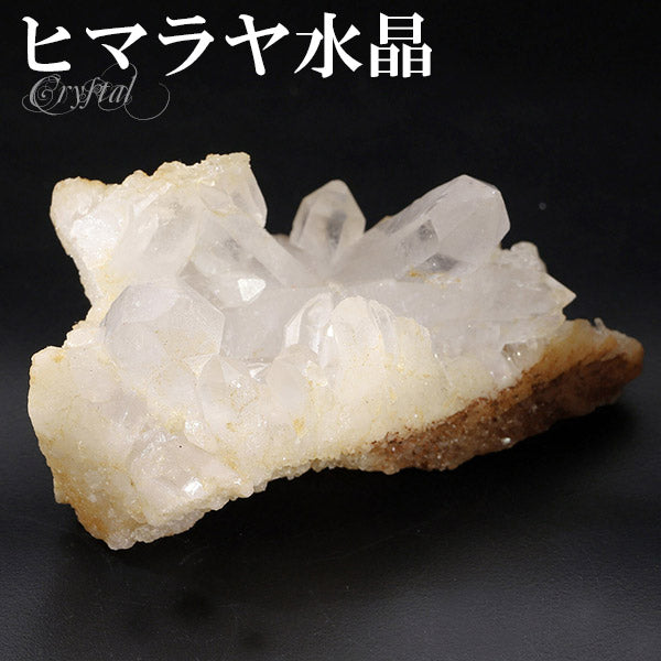 商品番号 cr-822 のアクセサリー