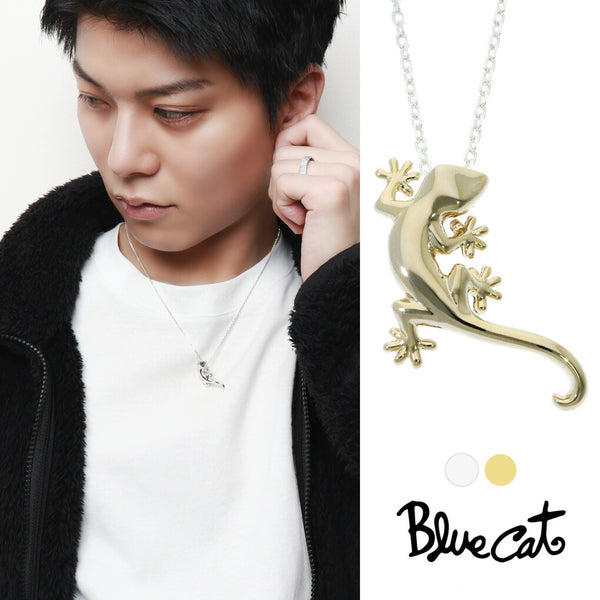 商品番号 csk-spv728 のアクセサリー