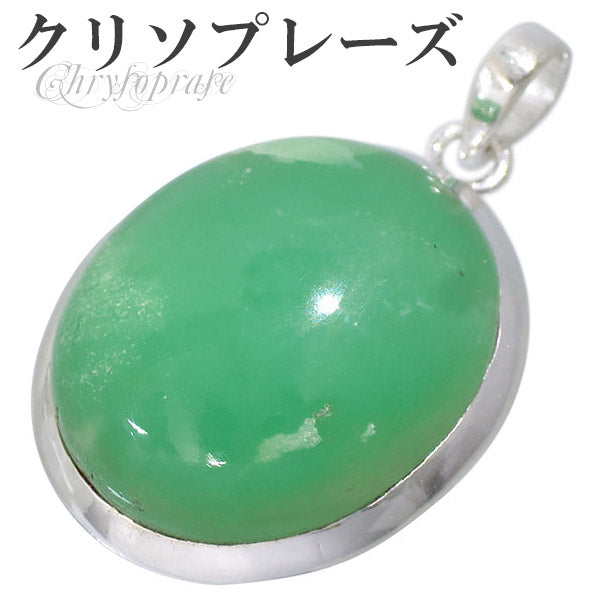 商品番号 csp-t20 のアクセサリー