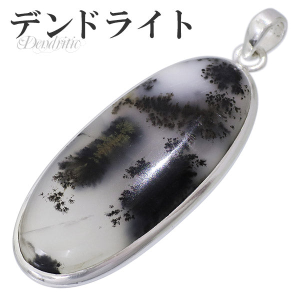商品番号 da-t47 のアクセサリー