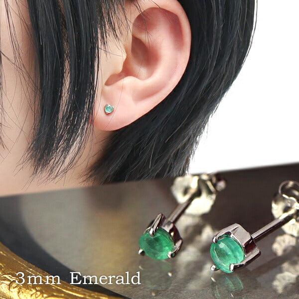 商品番号 fch-p01-em のアクセサリー