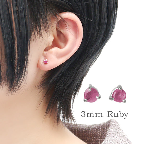 商品番号 fch-p01-rb のアクセサリー