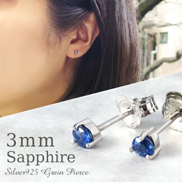 商品番号 fch-p01-sf のアクセサリー