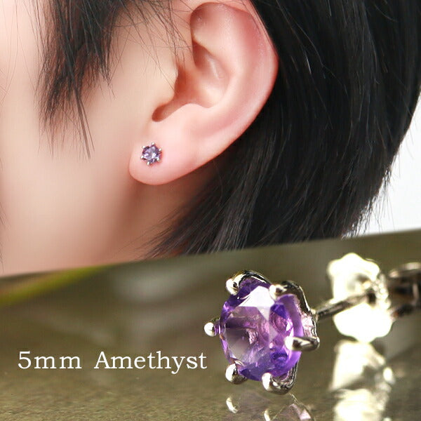 商品番号 fch-p02-am のアクセサリー