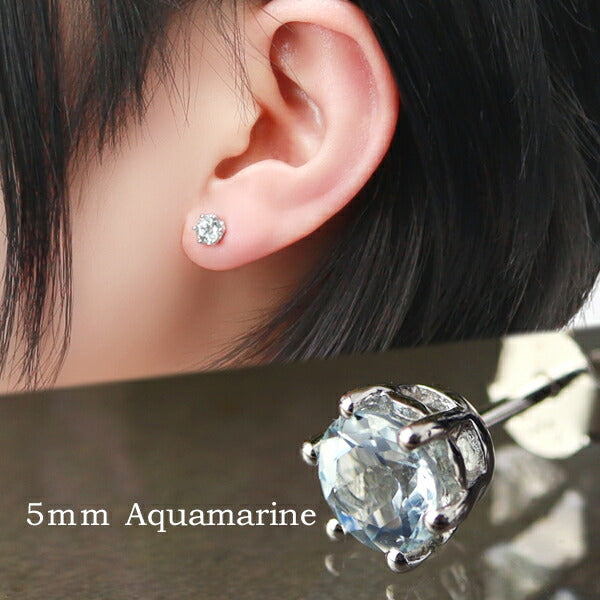 商品番号 fch-p02-aq のアクセサリー