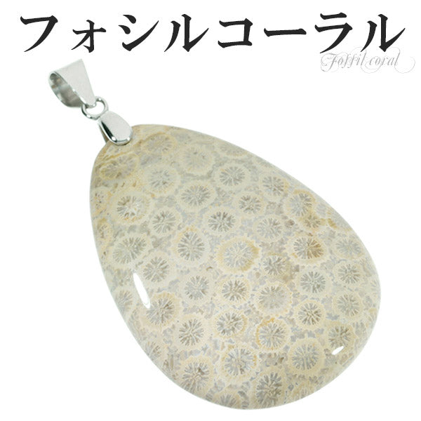 商品番号 fco-t08 のアクセサリー
