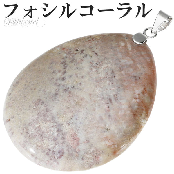 商品番号 fco-t12 のアクセサリー