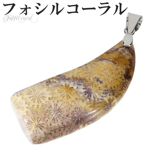 商品番号 fco-t13 のアクセサリー