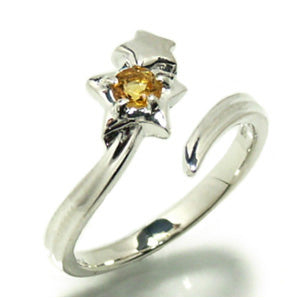 商品番号 fg-r48 のアクセサリー