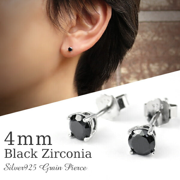 商品番号 fh-p173bk のアクセサリー