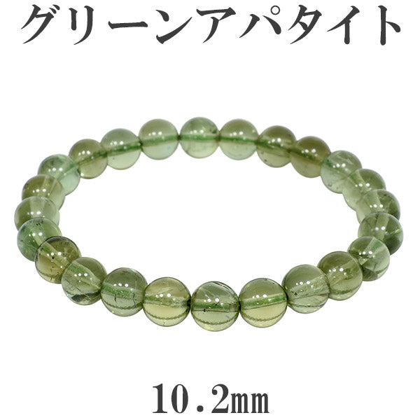 商品番号 gap-b03 のアクセサリー