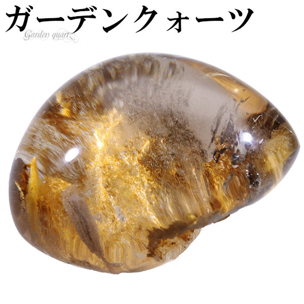 商品番号 gc-p205 のアクセサリー